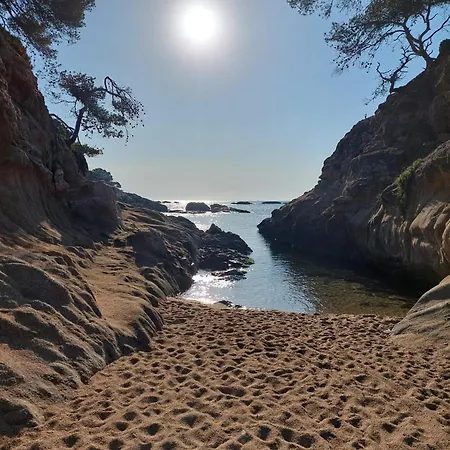 别墅 Bravaholidays-602-lloret Park 2 *